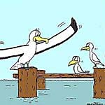 Click to open Albatross bragging pic